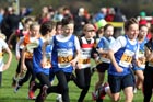 Under11s Start, North East Harrier League, Sunderland